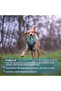 Set of 10 Rope Frisbee Dog Chew Toys – Nylon-Braided Rope TPR Chew Toy with Treats, Dog Frisbee - 4