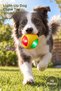 10-Pack of Light-Up Dog Chew Balls – Sound-Emitting LED Toys, Rubber Chew Balls, with Embossed Paw Prints for Teeth Relief