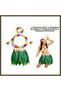 Adult Hawaiian Costume Set - Leaf Skirt & Hawaiian Set - 5-Piece BX