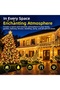 Transparent Wired Warm White LED String Lights with 8 Modes, Interconnectable with Plug-in Connectors—Perfect for Christmas Trees, Balconies, Gardens, and Decorative Lighting - 6