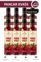 Pancar Kvass 500ml - Fermentation with Kefir Juice - Naturally Fermented (Pack of 12 Glass Bottles)