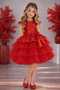 Red Girl's Tulle Evening Dress Party and Birthday Dress - 2