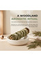 Cedar Smudge Stick Pack of 3 - 2