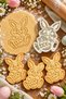 Cute Easter Bunny Themed Cookie Mold
