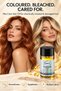 Professional Plex Care Hair Oil for Coloured, Bleached & Highlighted Hair, Damaged Hair Care, Smoothness & Shine, 230°C Heat Protection, 50 ml - 3