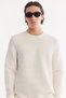 Men's Ecru Crew Neck Cotton Easy-Iron Regular Fit Sweatshirt A61Y1207 - 5
