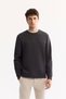 Men's Anthracite Crew Neck Cotton Bi-Stretch Printed Regular Fit Sweatshirt A52Y1325