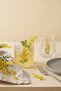 Mimosa Set of 4 Water Glasses 280 Cc - 7