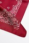 Paisley desenli fular - 2