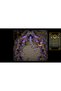 Terranigma - Playstation 5 - 7