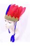 Burgundy Blue Color Feathered Native American Headdress |   Fan Headgear - 2