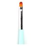 Nail Art Brush Kit with Oval Gel Polish Art Brush for All Your Nail Art Needs | | (Oval1#6) - 4