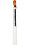 Nail Art Brush Kit with Oval Gel Polish Art Brush for All Your Nail Art Needs | | (Oval2#6), 18 x 1.50 x 0.70 cm - 2