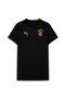 Galatasaray Evostripe Men's Slim Fit T-Shirt