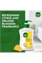 Fresh Liquid Handwash Pump, Citrus & Orange Blossom Scent, 200ml - 6