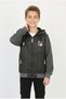 Boys' Three-Stripe Embroidered Hooded Zipper Sweatshirt with Thermal Lining and Fleece Sleeves for Everyday Wear - 2