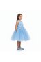Angel Blue Petal Frock - 3