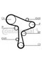 Kit curea de distribuție CT1168K3 - 3