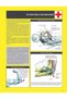 Strength Training Anatomy - 3