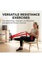 CLX Consecutive Loops Resistance Band Roll, 25 Yards, Professional Resistance Exercise Band for Rehabilitation, Strength Training, Flexibility and Physical Therapy, Multiple Resistance Level - 5