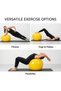 Pro Series SCP Exercise Ball, Slow Deflate Stability Ball for Core Training, Balance, Fitness, Yoga, Pilates and Rehabilitation, Multiple Sizes 45 cm to 85 cm, Exercise Accessories - 5