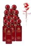 11 قطعة من عطر Riyadh Queen's Gambit بحجم 250 مل