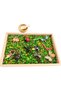 SAND TRAY INSECTS ACTIVITY SET - 4