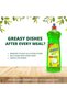 Dishwashing Liquid Lime Green 1L (Pack of 3) - Powerful Grease Removal, Fresh Lime Scent, Antibacterial Formula for Sparkling Clean Dishes - 3