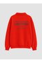 RMZ APPAREL: Boys' Thick Sweatshirt with a Turned-Down Collar and Yoke Detail - 3