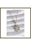 316L Steel Silver-Colored North Star-Style Women's Necklace with Zircon Stones BX