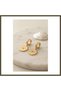 316L Steel Gold-Colored Eye-Shaped Zircon Stone Embellished Women's Earrings BX