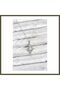 316L Stainless Steel Chain, Silver-Colored North Star Design, Zircon-Set Women's Necklace BX
