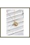 316L Stainless Steel Chain, Gold-Colored North Star Design Women's Necklace BX