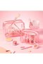 Pink Mini Clear Makeup Bag - 4