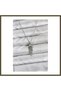 316L Stainless Steel Chain, Silver-Colored, Jellyfish-Style, Zircon-Set Women's Necklace BX