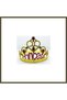 Gold-Colored Adjustable Party Tiara with "Princess" Inscription, 60 cm BX