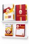 Licensed Hardcover A5 Spiral-Bound Notebook Planner, Lined and Checked, 2-Piece Set with Transparent, Colored Sticky Notes (Post-it®) and GS Pin Gift
