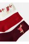 New Year's Themed Women's Socks 3-Pack (W6) - 2