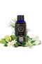 Harmony Fragrance Oils Aromatherapy 500ml | IFRA Certified | Perfect for Home, Office & Work Spaces | - 4