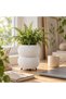 Ribbed Bubble Planter with Legs, 8.8 cm Opening, White - 4