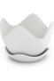 Tulip Wave Plant Pot with Saucer and Drainage Holes, Petal Rim Flower Pot for Succulents, 16 x 12 cm