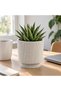 Small Ribbed Planter with Twist-Lock Drip Tray, 10.5 cm Plant Pot with 8 cm Opening and Drainage - 2