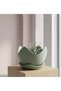 Tulip Wave Plant Pot with Saucer and Drainage Holes, Petal Rim Flower Pot for Succulents, 16 x 12 cm - 8