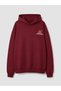 LCW Kids Burgundy Printed Boys' Suit - 2