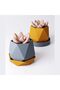Geometric Plant Pot with Drip Tray, Faceted Low Poly Planter with Drainage Holes for Succulents - 5
