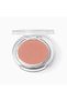Blush - Radiant Skin Face Blush - 2