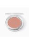 Blush - Radiant Skin Face Blush - 2