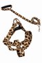 Brown Leopard Patterned Dog Collar and Leash Set, 3-Piece Set - 5