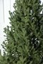 Brad artificial Viena Select, 3D integral, 180 cm - 5