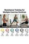 Professional Resistance Tubing with Hard PVC Handles, Latex Exercise Tube for Strength Training, Stretching, Flexibility and Rehabilitation, 48 or 50 Inch, Multiple Resistance Levels - 5